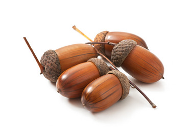 Similar image 5613748