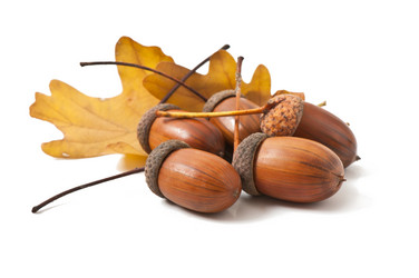 Similar image 5613750