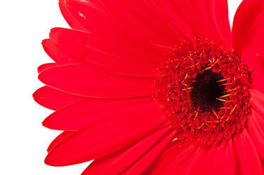 Similar image 5613774