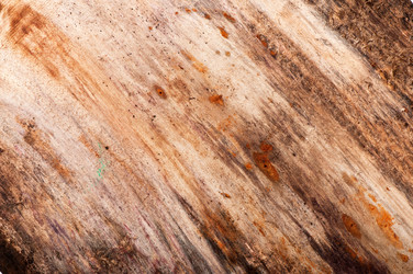 Similar image 5613777