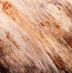 Similar image 5613778