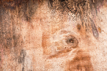 Similar image 5613780