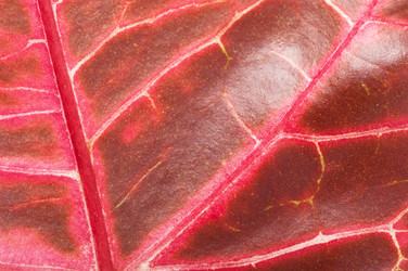 Similar image 5613784