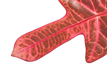 Similar image 5613785