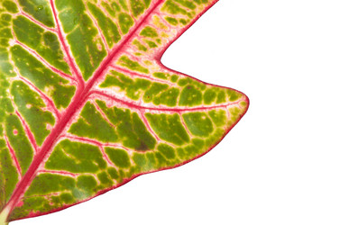 Similar image 5613786