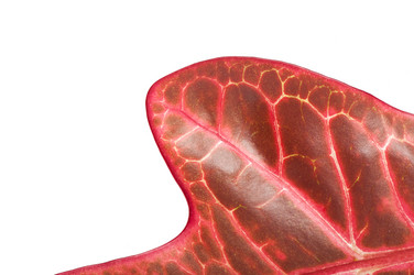 Similar image 5613788