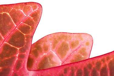 Similar image 5613790