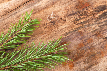 Similar image 5613792