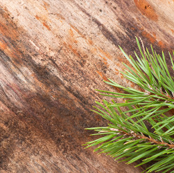 Similar image 5613794