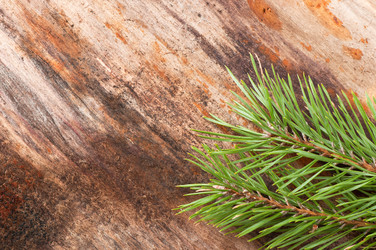 Similar image 5613802