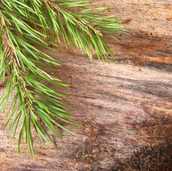 Similar image 5613803