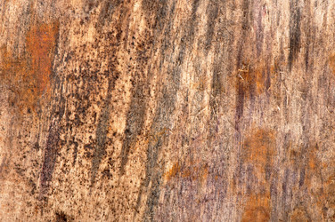 Similar image 5613810