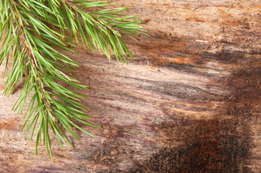 Similar image 5613811