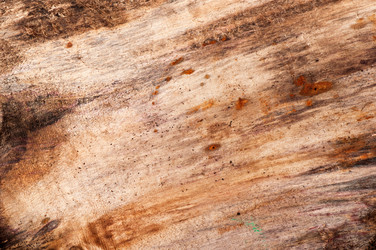 Similar image 5613816