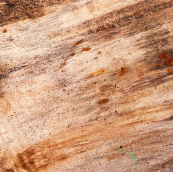 Similar image 5613819