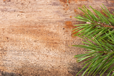 Similar image 5613820