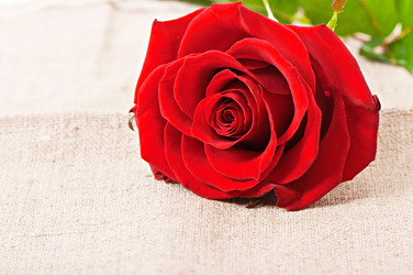 Similar image 5613877