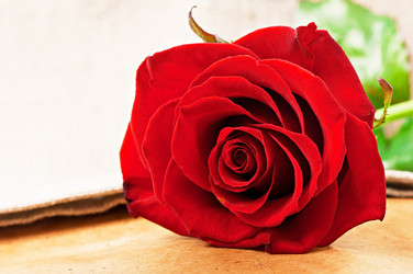 Similar image 5613878