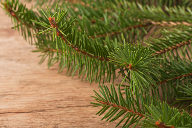 Similar image 5613901