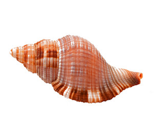 Similar image 5613903