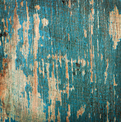 Similar image 5613906