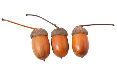 Similar image 5613907