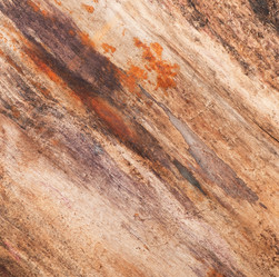 Similar image 5613908