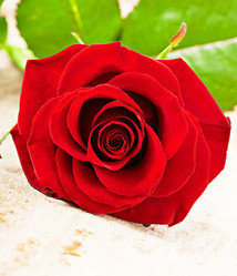 Similar image 5613909