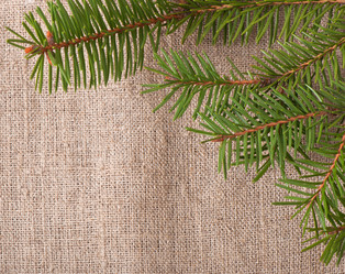 Similar image 5613912