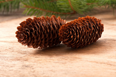 Similar image 5613914