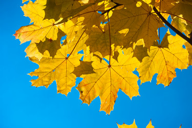 Similar image 5614012