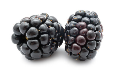 Similar image 5614014