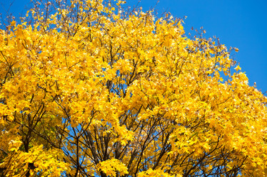 Similar image 5614021