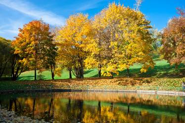 Similar image 5614036