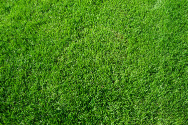 Similar image 5614056