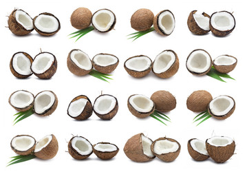 Similar image 5614059