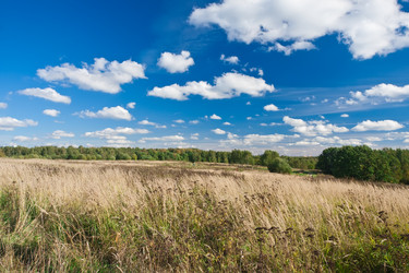 Similar image 5614071