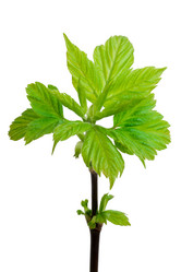 Similar image 5614095