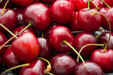 Similar image 5614096