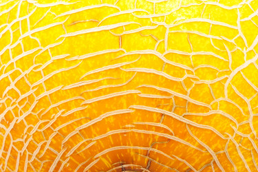 Similar image 5614123