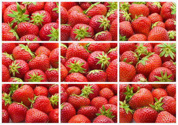 Similar image 5614125