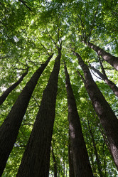 Similar image 5614136