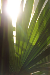 Similar image 5614347