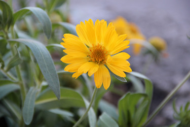 Similar image 5614353