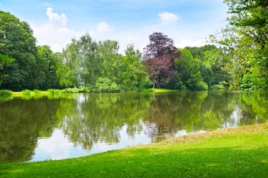 Similar image 5614475