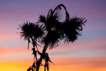 Similar image 5614690