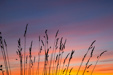 Similar image 5614692