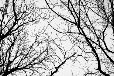 Similar image 5614694