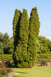 Similar image 5614709