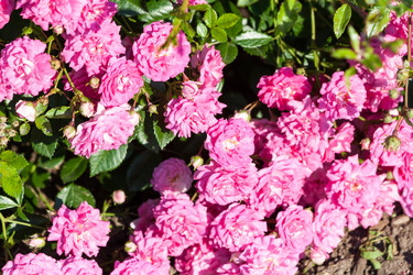 Similar image 5614710